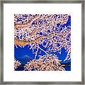 Mt. Fuji, Japan On Lake Kawaguchi #3 Framed Print