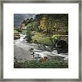 Rural Life #3 Framed Print