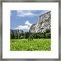 Yosemite National Park, Usa #3 Framed Print