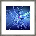 Human Nerve Cell #37 Framed Print