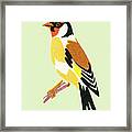 Bird #4 Framed Print