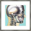 Human Skull #4 Framed Print