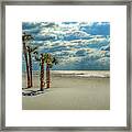 4 Palms On The Beach Framed Print