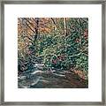 Scenic Views Along Virginia Creeper Trail #4 Framed Print