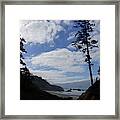 Silhouette Of Large Conifers On Coastal Headland #4 Framed Print