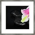 Spa Concept With Lily Petal Framed Print