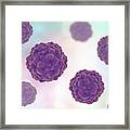 Transfusion Transmitted Virus Particles #4 Framed Print
