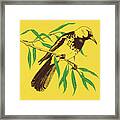 Yellow Bird #4 Framed Print