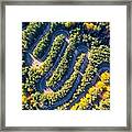 Aerial View Of A Winding Mountain Road #5 Framed Print