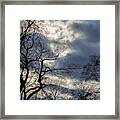 Dramatic Trees Sky And Clouds #5 Framed Print