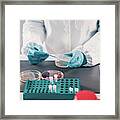 Microbiologist Working In Laboratory #5 Framed Print