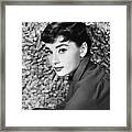 Portrait Of Audrey Hepburn #5 Framed Print