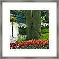 Spring Flowers In A Park Framed Print