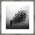 The Well Of Sadness #5 Framed Print