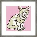 Cat #53 Framed Print
