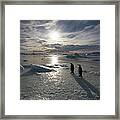 Antarctica, Snow Hill Island, Emperor #6 Framed Print