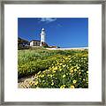 Lighthouse In Kato Pahos, Cyprus #6 Framed Print