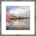 Washington Dc, Usa In Spring Season #6 Framed Print