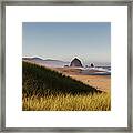 Haystack Rock Seen From Dunes #7 Framed Print