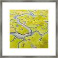 Salt Marshes And Estuaries Are Found #7 Framed Print