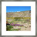 Anza Borrego Desert Sp, San Diego, Ca #8 Framed Print