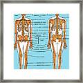 Human Anatomy #9 Framed Print