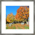 A Colourful Resting Place Framed Print