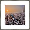 A Crisp October Morning Framed Print