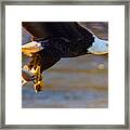 A Good Catch Framed Print