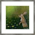 A Guest In The Backyard Framed Print