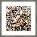 A Kitten Named Prada Framed Print