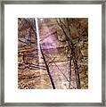 A Light On Prehistory Framed Print