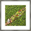 A Longboat Or Dug Out Canoe, Laden With Framed Print
