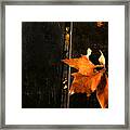 A Park Bench In Autumn Framed Print