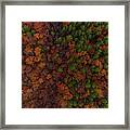 A Plate Of Color Framed Print