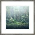 A Quiet Passing Framed Print