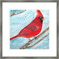 A Red Bird Framed Print