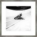 A Smoother Road Framed Print