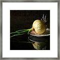 A Sprouted Onion Framed Print