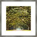 A Stunning Long Path Lined Framed Print