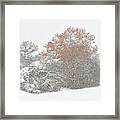 A Taste Of Winter Framed Print