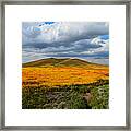 A Valley Of Beauty Framed Print