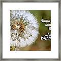 A Weed Or Wish? Framed Print