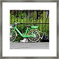 A Welcome Splash Of Lime On A Wet And Windy Day Framed Print