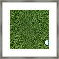A White Golf Ball On Pristine Green Framed Print