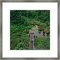 A Young Couple Enjoys A Hike On A Boardwalk In The Pacific Northwest. Framed Print