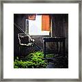 Abandoned Room With Plants Framed Print