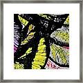 Metamorphosis Framed Print