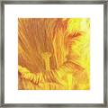 Abstract Daffodil Framed Print