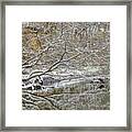 Abstract Snow Covered Trees Framed Print